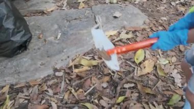 Asyalı gönüllü aileler nehir kenarında çöp ve plastik topluyorlar. Çevreyi kurtarmak için çöpü çöpe atın. Dünya Çevre Günü
