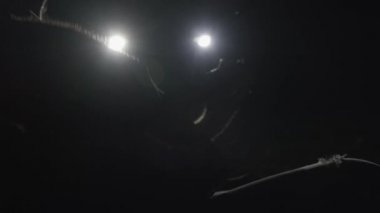 Yakışıklı kıvırcık saçlı Asyalı adam gün batımında göl kenarında gitar çalıp şarkı söylüyor..