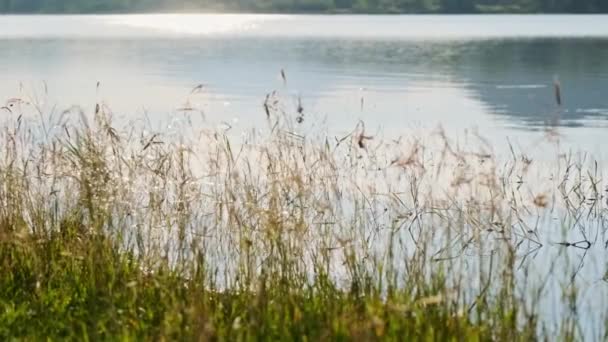 日落时湖与山的景色 — 图库视频影像