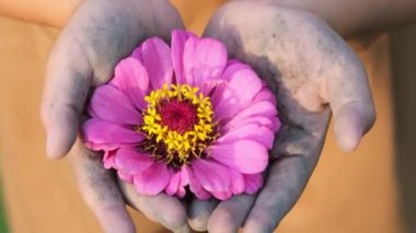Şirin küçük kızın ellerinde pembe çiçekler.