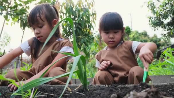 Irmãs Asiáticas Plantando Árvore Jovem Quintal Horta — Vídeo de Stock