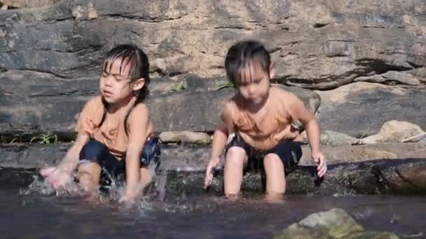 Petite Fille Asiatique Jouant Dans Ruisseau Forestier Avec Sœur Loisirs — Video