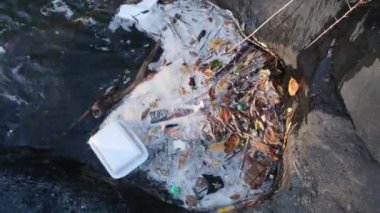 Ormandaki dağ deresinde plastik atık. Su kirliliği sorunu