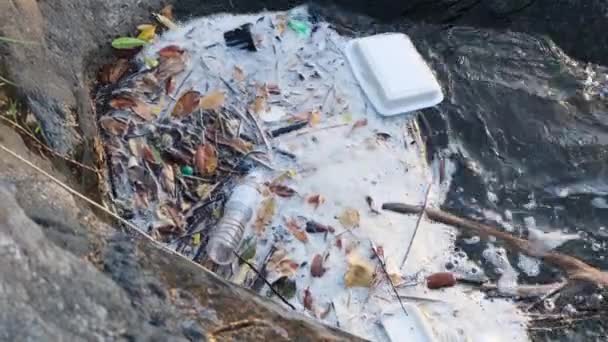 Plastic Afval Bergstroom Het Bos Probleem Van Waterverontreiniging — Stockvideo
