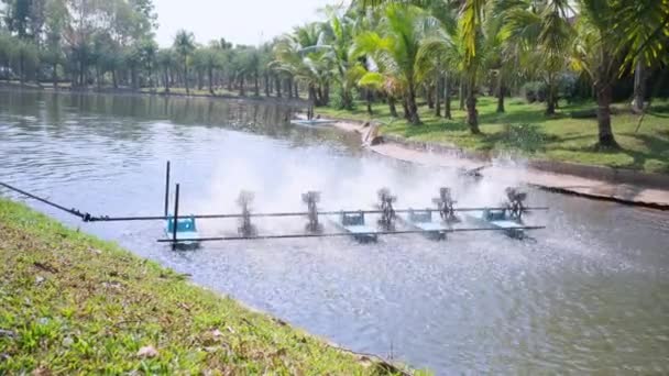 水タービンは 池水処理プロセスに酸素を追加する作業を行っています 環境を守る — ストック動画