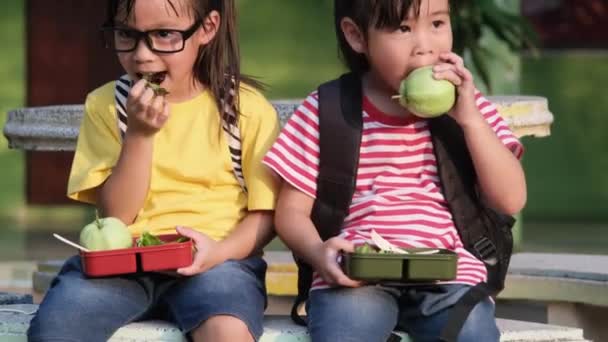 Zwei Schülerinnen Beim Mittagessen Der Schule Gesundes Schulessen — Stockvideo