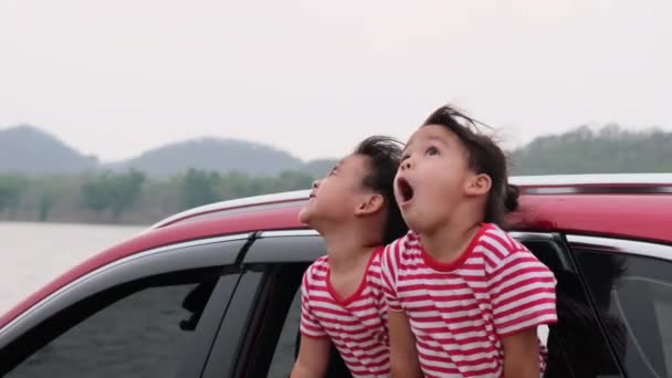Милі Азіатські Сестри Дівчата Посміхаються Весело Подорожують Автомобілем Дивляться Вікно — стокове відео