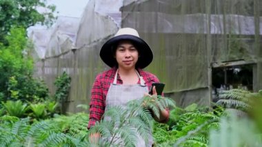 Güzel bahçıvan kadın serada çalışırken tablet kullanıyor. Satılık bitkilerle ilgilenen mutlu Asyalı kadın..