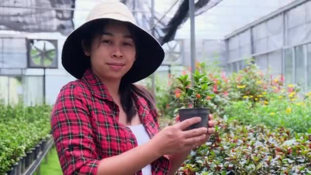 Κηπουρός Γυναίκα Κρατώντας Μικρή Γλάστρα Και Κοιτάζοντας Κάμερα Στο Θερμοκήπιο — Αρχείο Βίντεο