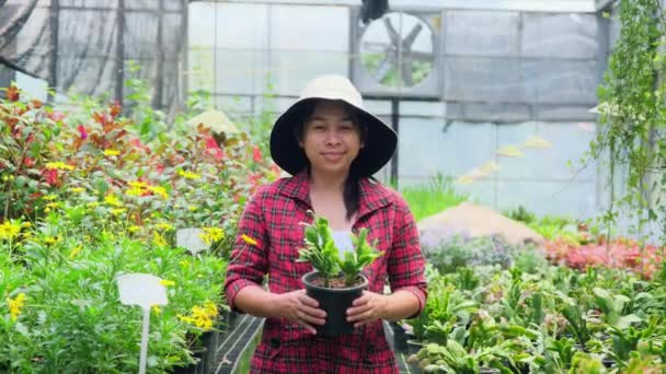 Mujer Jardinero Sosteniendo Maceta Pequeña Mirando Cámara Invernadero Mujer Asiática — Vídeos de Stock