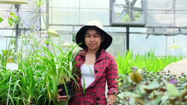 Mujer Jardinero Sosteniendo Maceta Pequeña Mirando Cámara Invernadero Mujer Asiática — Vídeo de stock