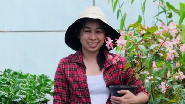 Mujer Jardinero Sosteniendo Maceta Pequeña Mirando Cámara Invernadero Mujer Asiática — Vídeo de stock