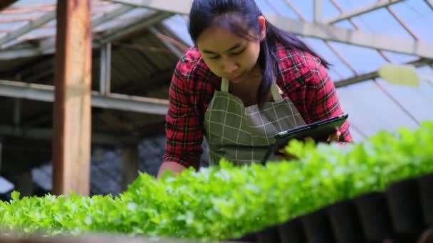 Hermosa Mujer Jardinero Utiliza Una Tableta Mientras Trabaja Invernadero Mujer — Vídeo de stock