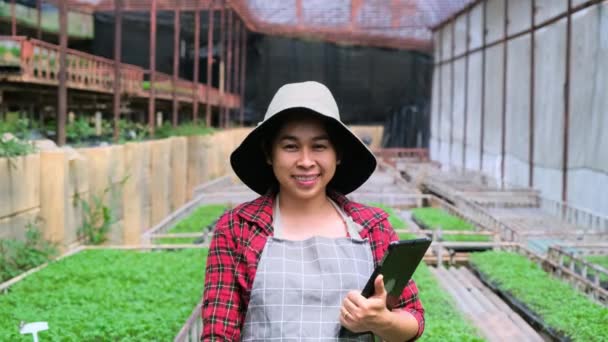 Güzel Bahçıvan Kadın Serada Çalışırken Tablet Kullanıyor Satılık Bitkilerle Ilgilenen — Stok video