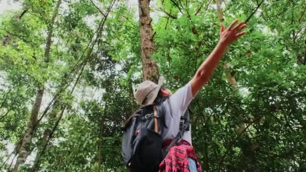 Las Mujeres Viajeras Disfrutan Belleza Naturaleza Mirando Los Exuberantes Árboles — Vídeo de stock