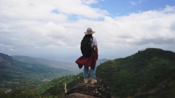 女性ハイカーのバックパックは 腕を上げて山の上に立ち 景色を楽しむことができます 旅と成功のコンセプト — ストック動画