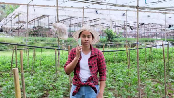 Cheerful Asian Female Entrepreneur Talking Smartphone While Standing Garden Owner — Stock Video