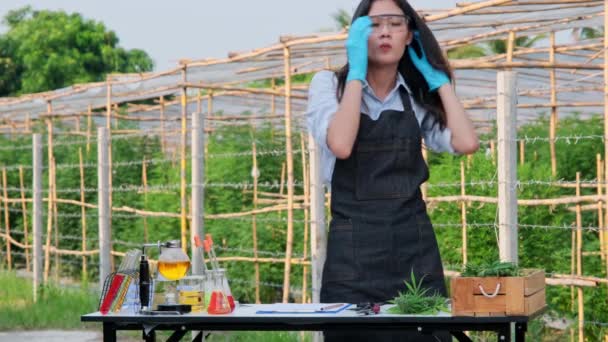 Los Científicos Examinan Las Plantas Cáñamo Utilizadas Para Producir Medicinas — Vídeo de stock