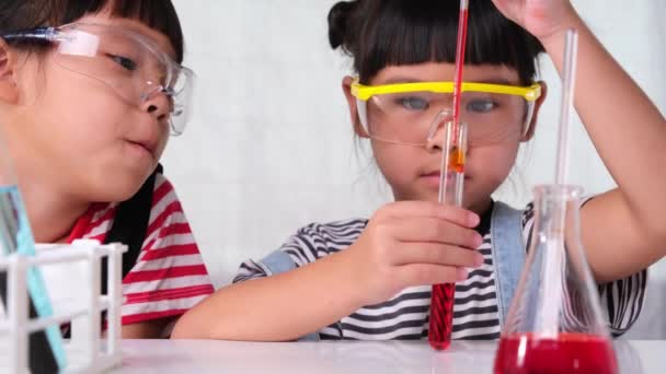 Los Niños Están Aprendiendo Haciendo Experimentos Científicos Aula Dos Hermanitas — Vídeos de Stock