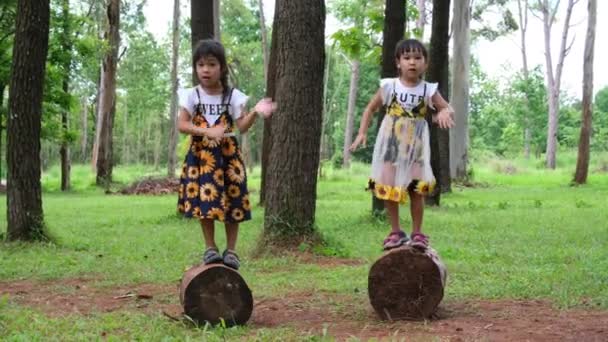 屋外公園で遊んでいるかわいい子供たち 妹たちは夏の庭でバランスをとる丸太の上に立っている 子供のための健康的な夏の活動 — ストック動画