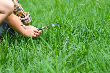 Doğayı öğrenen ve dışarıdaki büyüteçle keşfeden sevimli küçük bir kız. Meraklı çocuk parktaki bir ağaca büyüteçle bakıyor. Küçük kız büyüteçle oynuyor..