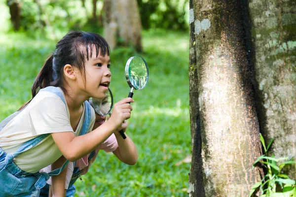 Dzieci Uczą Się Odkrywają Przyrodę Pomocą Szkła Powiększającego Zewnątrz Ciekawy — Zdjęcie stockowe