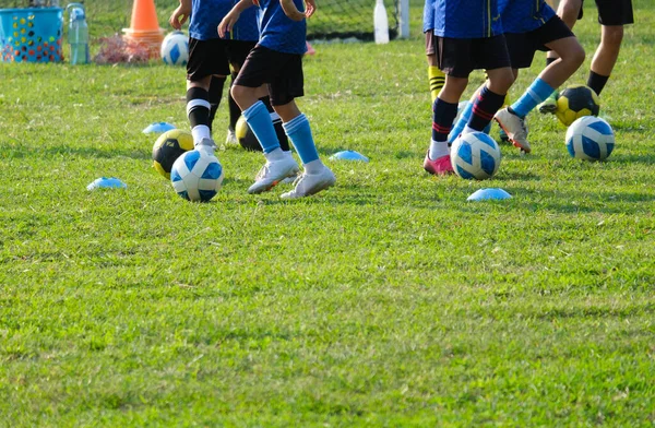 Group School Children Running Kicking Soccer Balls Grass Field Kids — Stock Photo, Image