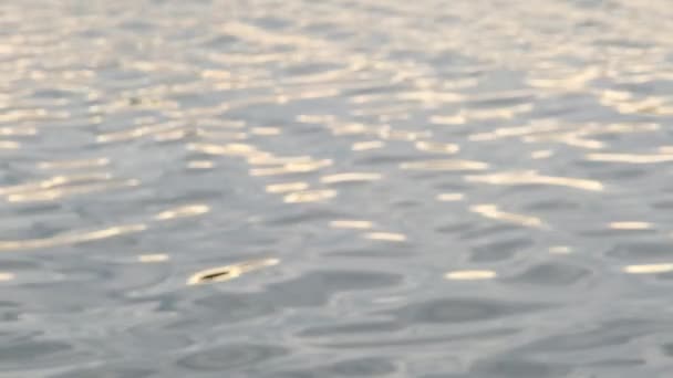 Vízfelszín Háttér Hullámok Tóban Víz Napfény Tükröződik Vízben — Stock videók