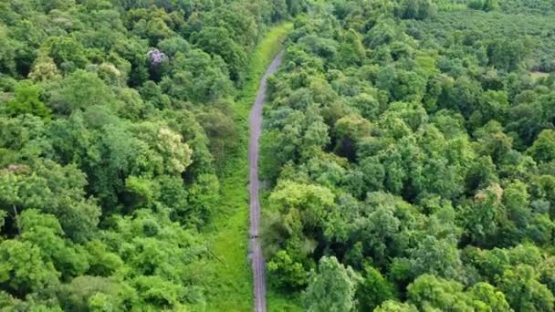 Aerial View Drone Railway Track Rural Landscape Green Forest Rainy — 图库视频影像