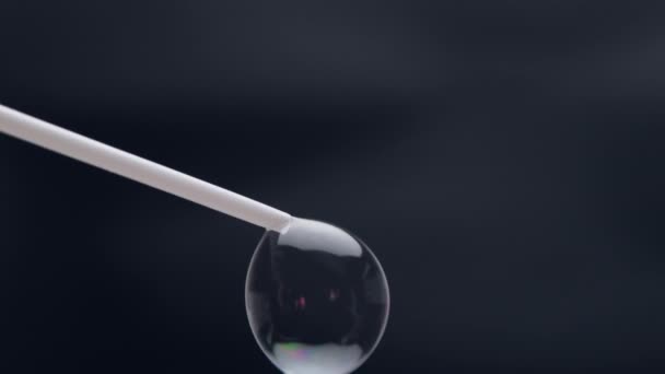 Beautiful Soap Bubbles Blown Straw Black Background Abstract Soap Bubbles — Stockvideo