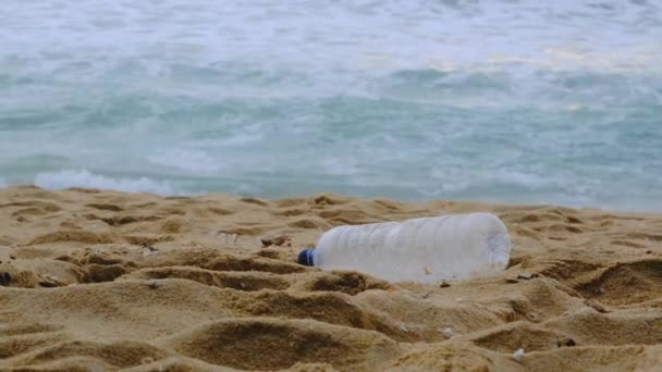 Γυναίκα Καθαρίζει Πλαστικά Στην Παραλία Άνθρωποι Καθαρίζουν Εθελοντικά Φύση Από — Αρχείο Βίντεο