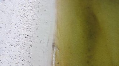 Aerial view from a drone of a happy Asian family of mother and daughters having fun playing on the beach during summer vacation. Summer family trip to the beach. travel and vacation concept.