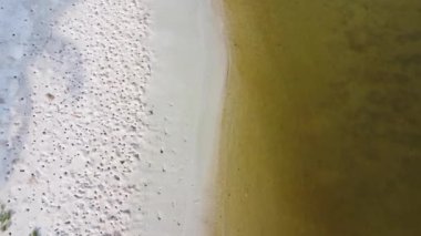 Aerial view from a drone of a happy Asian family of mother and daughters having fun playing on the beach during summer vacation. Summer family trip to the beach. travel and vacation concept.