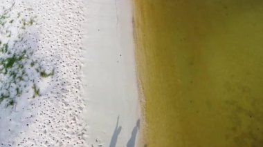 Aerial view from a drone of a happy Asian family of mother and daughters having fun playing on the beach during summer vacation. Summer family trip to the beach. travel and vacation concept.