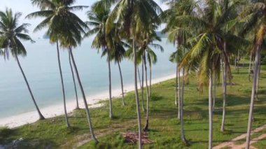 Beautiful aerial view of the sandy beach jutting out to the sea with coconut palms against the soft blue ocean waves at Laem Haad Beach, famous tourist attraction of Koh Yao Yai, Phang Nga, Thailand.