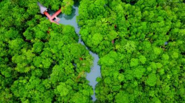 Aerial views of mangrove forests are abundant in southern Thailand. Tha Pom Khlong Song Nam, Krabi, Thailand. Beautiful natural landscape background.