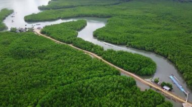 Aerial view of Thai traditional longtail fishing boats at the pier in Phang Nga Bay in the Andaman Sea, Thailand. Top view of many fishing boats floating in the sea among mangrove forest. Samet Nangshe