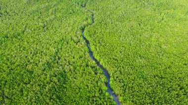 Aerial view of Phang Nga Bay and mangrove forest in the Andaman Sea, Thailand. Samet Nangshe, Unseen thailand. Beautiful natural landscape background