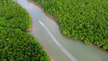 Aerial view of a Thai traditional longtail boat sailing in Phang Nga Bay among the fertile mangrove forests of the Andaman Sea, Thailand. Samet Nangshe