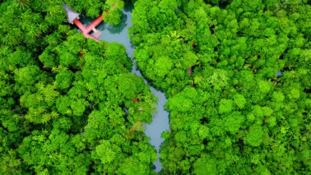 Повітряні Види Мангрових Лісів Поширені Південному Таїланді Tha Pom Khlong — стокове відео