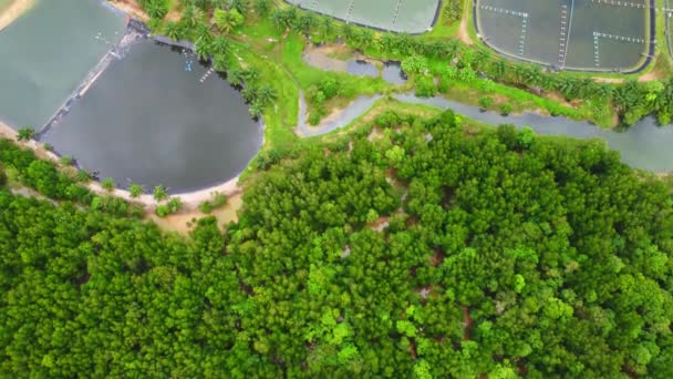 Aerial View Sewage Treatment Plant Industrial Wastewater Treatment Plant Southern — Video Stock