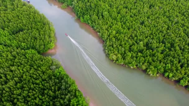 Повітряний Вид Таїландського Традиційного Довгохвостого Човна Плаває Затоці Фан Нга — стокове відео