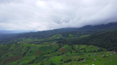 Aerial view of green wave fields with mountains and cloudy sky in rainy season. Beautiful green area of young rice fields or agricultural land in northern Thailand. Beautiful natural landscape background.