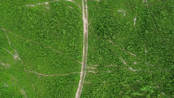 Aerial View Green Pasture Sunny Day Beautiful Green Area Agricultural — Vídeos de Stock
