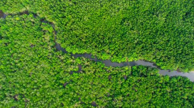 Aerial view of Phang Nga Bay and mangrove forest in the Andaman Sea, Thailand. Samet Nangshe, Unseen thailand. Beautiful natural landscape background