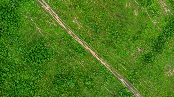 Aerial View Green Pasture Sunny Day Beautiful Green Area Agricultural — Zdjęcie stockowe