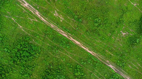 Aerial view of green pasture on a sunny day. Beautiful green area of agricultural land or grazing in the rainy season of northern Thailand.