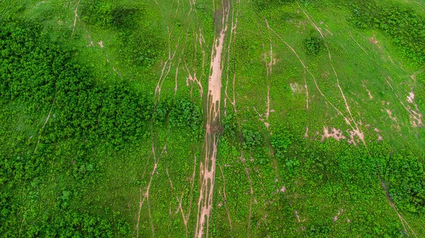 Aerial view of green pasture on a sunny day. Beautiful green area of agricultural land or grazing in the rainy season of northern Thailand.