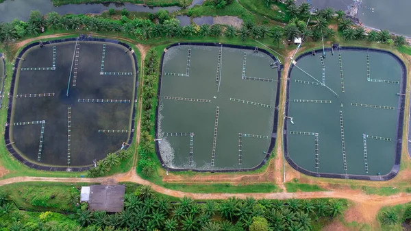 Aerial view of sewage treatment plant. Industrial wastewater treatment plant in Southern Thailand. Sewage Farm