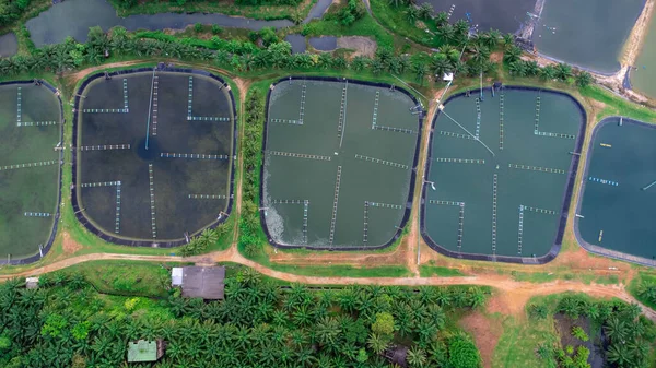 Aerial view of sewage treatment plant. Industrial wastewater treatment plant in Southern Thailand. Sewage Farm